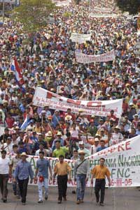 La lucha campesina e...